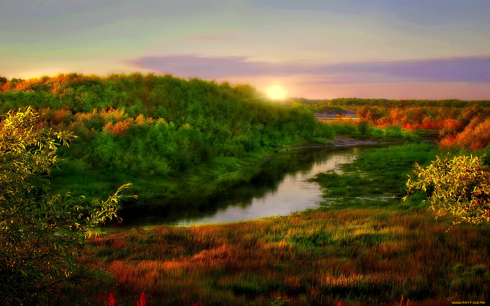 torch, of, nature, , , , , , , 